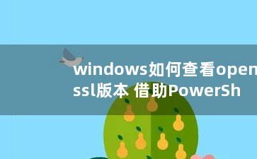 windows如何查看openssl版本 借助PowerShell 终端查看